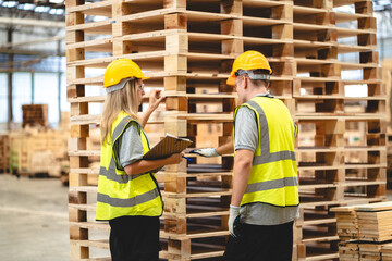 Professional Engineer, carpenter or worker team are checking and inspecting hardwood, timber or...