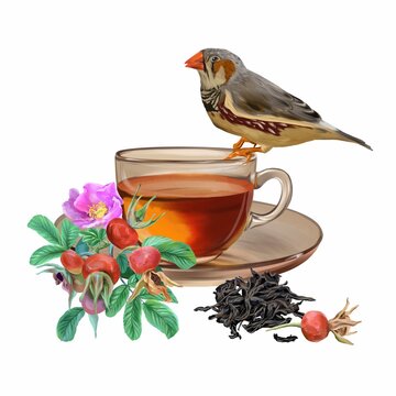 recommend clip art: Cup of tea, rosehip, dry tea leaves, bird. Graphic illustration isolated on white background. Cards, packaging, labels, covers, flyers, banners.