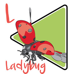 Many people are fond of ladybugs because of their colorful, spotted appearance. But farmers love them for their appetite. A popular symbol of springtime.