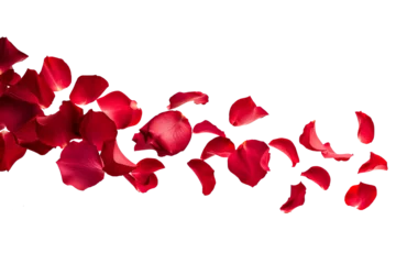 Tuinposter Flying rose petals isolated on transparent background © ALL YOU NEED