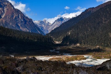 Fototapeta na wymiar Yumthang Valley of Sikkim