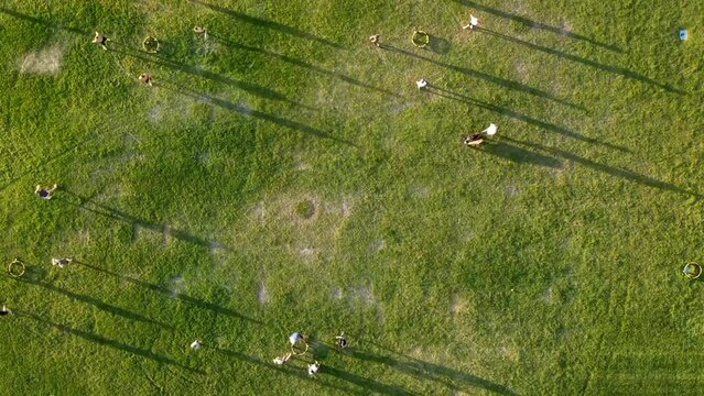 Top-down aerial view of timelapse of many people playing spikeball in a field