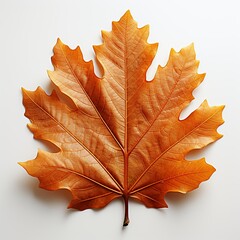 pink leaf isolated on white background Created with generative Ai	