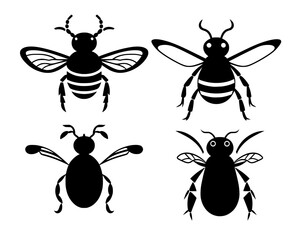 collection of insects