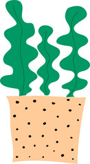 Hand drawn succulent plant illustration on transparent background.
