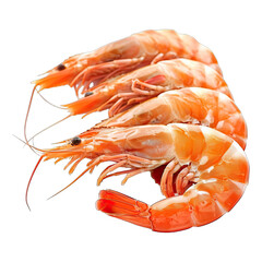 Shrimps isolated on white background