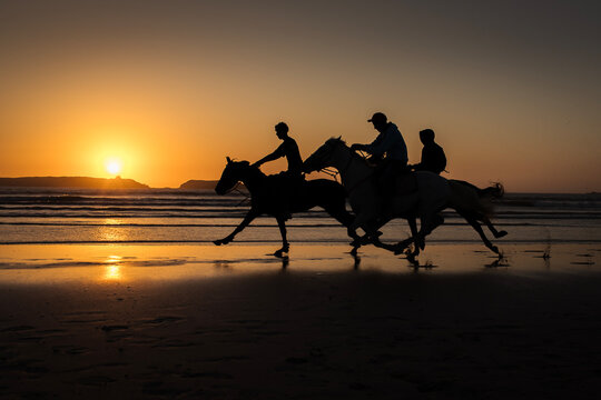 Silhouette of horse riding on the beach with reflection at sunset in background. Essaouira, Morocco