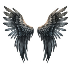 Obraz premium Black feathers Angel wings clipart watercolor illustration with transparent background png 