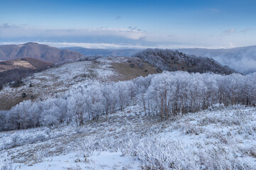 美しい霧氷と青空