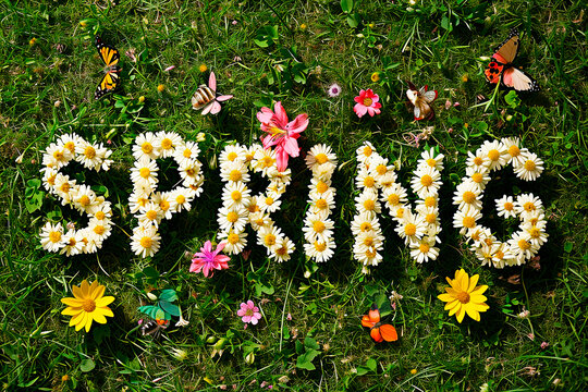 word spring made of flowers