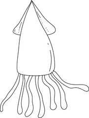 Hand drawn squid illustration on transparent background.
