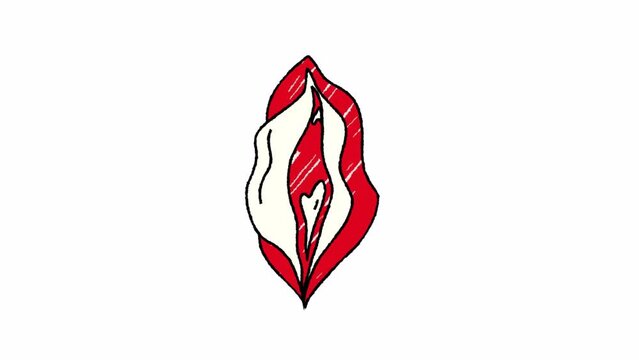 Beauty female vulva. Video hand drawn animation design element. Alpha channel transparency	