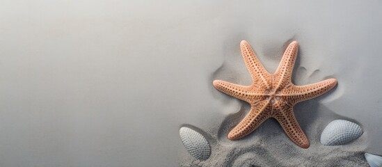 Top view of sea star or starfish on the beach sand background. Generate AI image