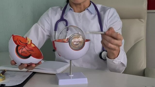 Doctor ophthalmologist is holding the anatomy of human eye and explaining parts of eye. Hyperopia myopia astigmatism and laser vision correction