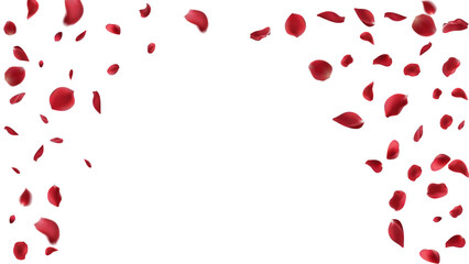 Valentine's day Vector red symbols of love border for romantic banner or Red rose petals will fall on abstract floral background with gorgeous rose greeting card design. on transparent background