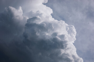 Summer blue sky cloud gradient light white background. Beauty clear cloudy in sunshine calm bright winter air bacground. Gloomy vivid cyan landscape in environment day horizon skyline view spring wind