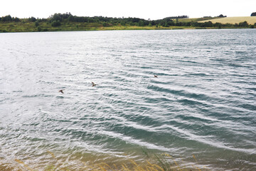 Water surface. The texture of the water. Waves on the lake in windy weather.