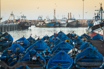 Fototapeta na wymiar Beautiful colors in the port of fishermen in Essaouira, Morocco