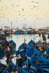 Beautiful colors in the port of fishermen in Essaouira, Morocco - 710429204