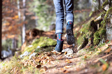 Female Legs Close up While Hiking in an Autumn Forest Wearing Hiking Boots - obrazy, fototapety, plakaty