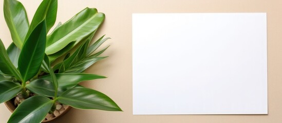 Flat lay design of blank paper for text invitation card template and green plant. Generate AI image