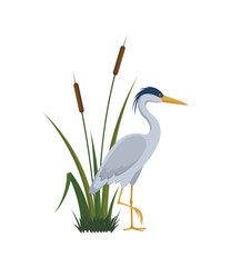 Gray heron and cattail eps 10