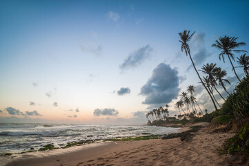 exotic sandy beach on the ocean shore. natural background