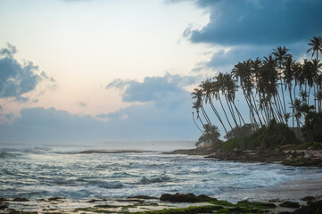 exotic sandy beach on the ocean shore. natural background