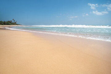 exotic sandy beach on the ocean shore. natural background