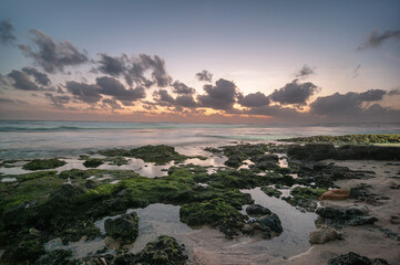 exotic sandy beach on the ocean shore. natural background