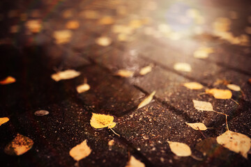 Beautiful Nature Autumn landscape. Scenery view on autumn city park with golden yellow foliage in Sunny day. Walking path in the city Park strewn with autumn fallen leaves.