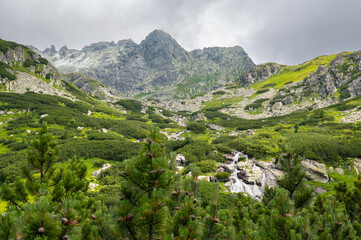 Fototapeta na wymiar Cascades of mountain creek in High Tatras, Slovakia. Beautiful landscape of small waterfall or springs near Rysy mountain with green hills and coniferous trees.