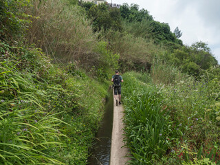Man hiker with backpack walking along levada, water irrigation channel with flowers and tropical plants at hiking trail Levada do moinho to levada nova waterfall. Madeira, Portugal. - 710442650