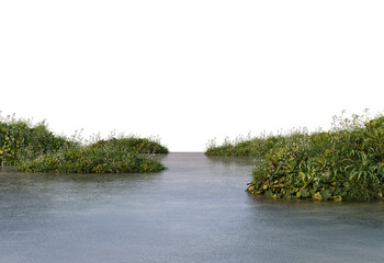 Lake with plants and trees by the waterfront on a transparent background