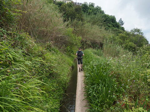 Man hiker with backpack walking along levada, water irrigation channel with flowers and tropical plants at hiking trail Levada do moinho to levada nova waterfall. Madeira, Portugal.