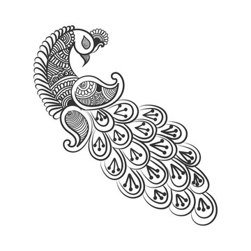recommend clip art: Peacock and flower hand drawn line art design Free Vector
                    