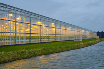 Illuminated industrial greenhouse with yellow lights growing tomato plants under a cloudy sky in winter. Concept of industrial food production	