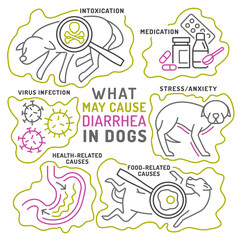 What may cause diarrhea in dogs. Useful medical infographic with line icons