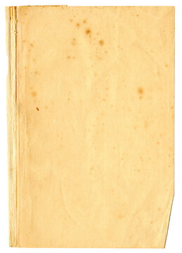 Alte vergilbte Buchseite Knick Stockflecken - Samtmilbe Milbe Laus als kleines rotes Tierchen links mittig im Bild