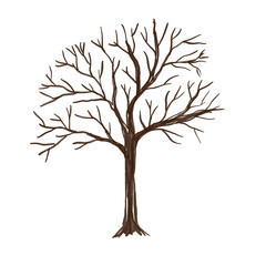 Obraz premium Abstract tree watercolor vector illustration, Minimal style tree painting hand drawn, Side view, set of graphics trees elements drawing for architecture and landscape design.