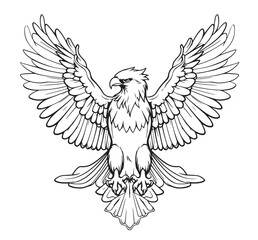 Eagle heraldic sketch hand drawn Vector illustration Birds