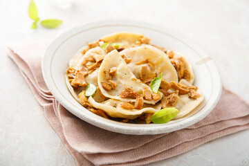 Homemade mushroom ravioli with basil