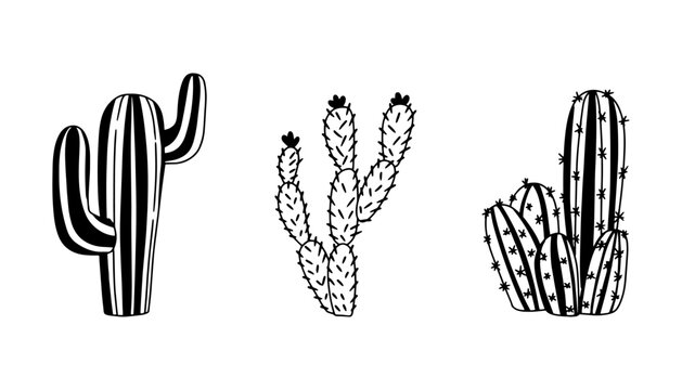 Set of cactus. Isolated elements for design. Hand drawn illustration.
