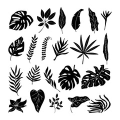 Set of tropical palm leaves silhouette isolated on white background. - obrazy, fototapety, plakaty
