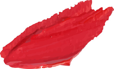 Red brush stroke watercolor illustration on transparent background.