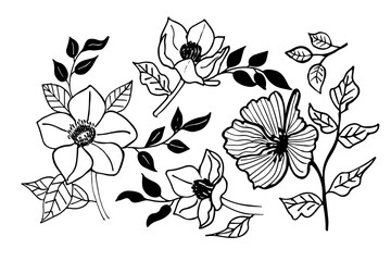 Collection hand drawn  flowers roses. Vintage floral background. Vector illustration. Set vintage roses for summer dress fabrics