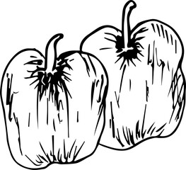 Hand drawn vegetable illustration on transparent background.
