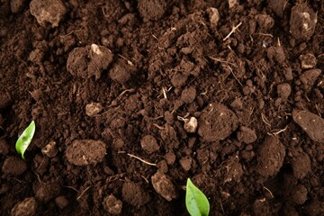 Gardening season with textured fertile soil.