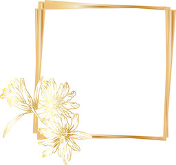 Gold geometric frame with hand drawn floral illustration on transparent background.

