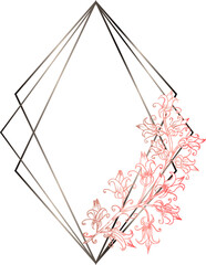 Geometric frame with floral illustration on transparent background.